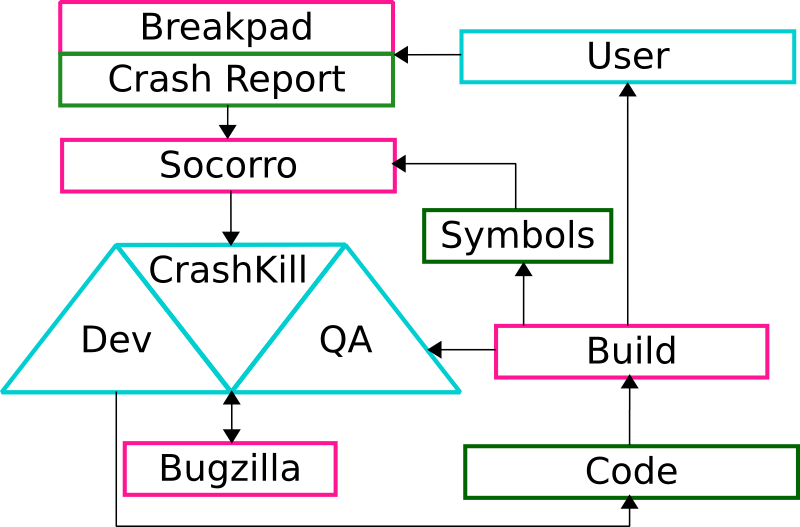 Life Cycle of a Crash